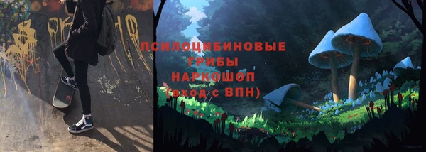 СК Алзамай