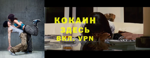 кокс Алексин