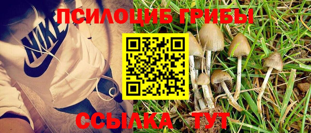 Галлюциногенные грибы ЛСД Бирск